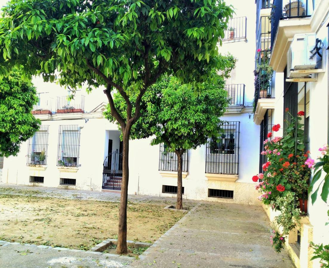Apartamento Plaza Compania Jerez Jerez de la Frontera Kültér fotó