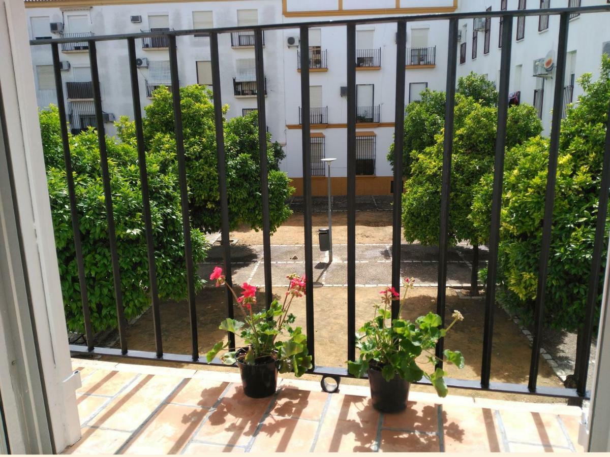 Apartamento Plaza Compania Jerez Jerez de la Frontera Kültér fotó